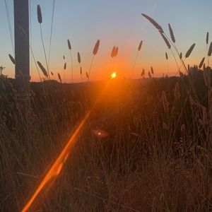 Meet your Posher, Gibelli